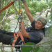 Tief im Regenwald