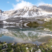Wilde Schweiz