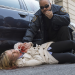 Law & Order: Special Victims Unit