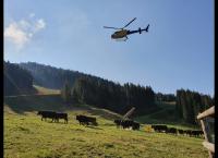 Snow Lords - Arbeiten im Pistenparadies