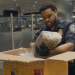 Airport Security