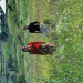 Planet Weltweit