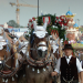 Aufgezäumt und eingespannt - mit Rosserern aufs Oktoberfest