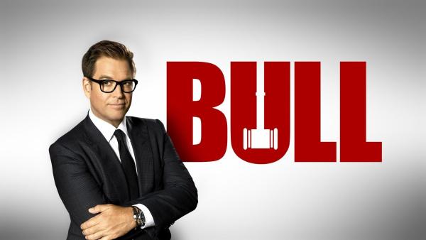 Bild 1 von 10: (4. Staffel) - Bull - Artwork
