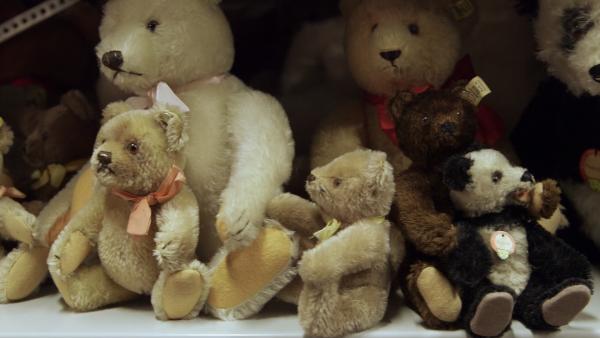 Bild 1 von 5: Der Bär mit dem Knopf im Ohr - der \