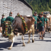 Bild 16