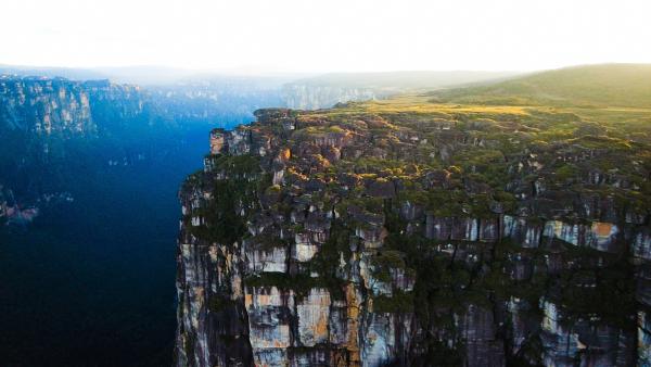 Bild 1 von 11: Insel im Himmel: Auf dem Auyan-Tepui, einem einsamen Tafelberg Venezuelas, hat sich eine eigenständige Tier- und Pflanzenwelt entwickelt. Ein Forschungsteam macht sich auf den Weg, um sie näher zu untersuchen.