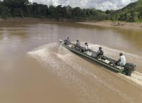 Giganten unter Wasser - Riesenfischen auf der Spur