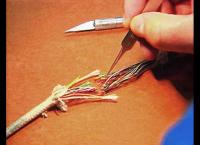 Medical Detectives - Geheimnisse der Gerichtsmedizin