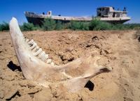 Lost Places - Mysteriöse Inseln