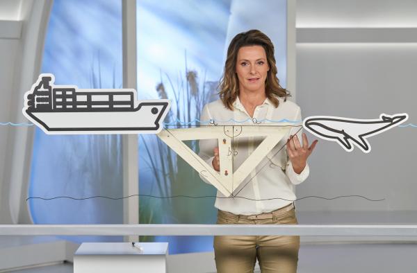 Bild 1 von 2: bei \