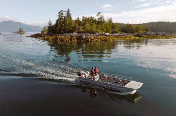 Bild 1 von 4: Die beiden Wissenschaftler erforschen die Tangwälder des Pazifiks.