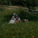 Bild 12