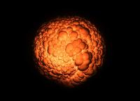 Alles und nichts - Der Ursprung des Universums