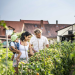Gärtnerstadt Bamberg - Tradition und Innovation