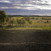 Heartland - Paradies für Pferde