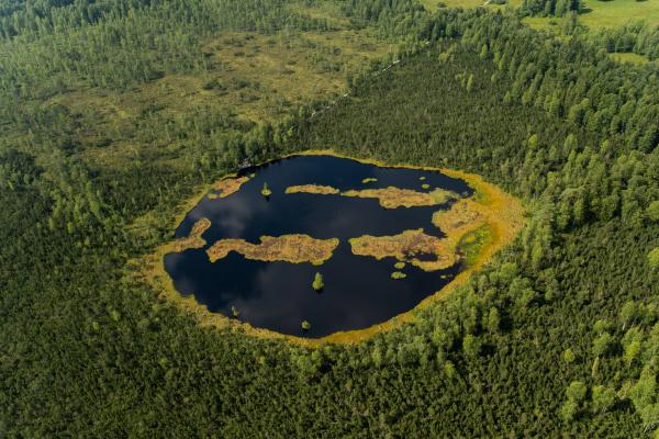 Bild 1 von 1: Unsere Moore liegen wie Inseln in unserer Kulturlandschaft. Letzte Reste einer Natur, die vor 10.000 Jahren weite Flächen Europas prägte.