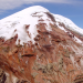 Ecuador, Hotspot der Artenvielfalt