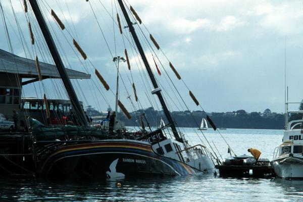 Bild 1 von 2: Das Schiffswrack des Greenpeace-Schiffes \