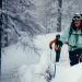 Alpine Worlds