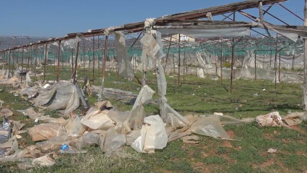 Bild 1 von 7: Das Recycling von Kunststoffplanen für Gewächshäuser wird durch die EU bezuschusst. Die Masche der Mafia: Anstatt die Planen zu recyceln, werden sie verbrannt, vergraben - oder gar nicht erst entsorgt.
