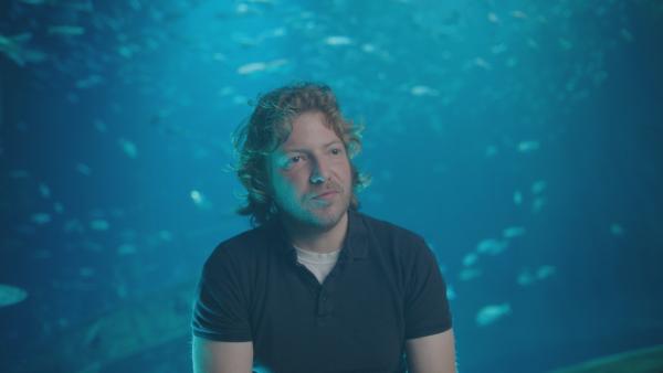 Bild 1 von 14: Dr. David Bierbach versucht mehr über Schwarmverhalten von Fischen rauszufinden - mit Hilfe eines \