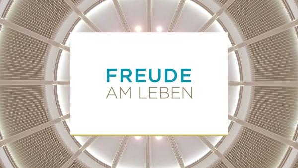 Bild 1 von 1: .