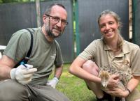 Seelöwe & Co. - tierisch beliebt