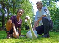 Pia und die wilden Tiere