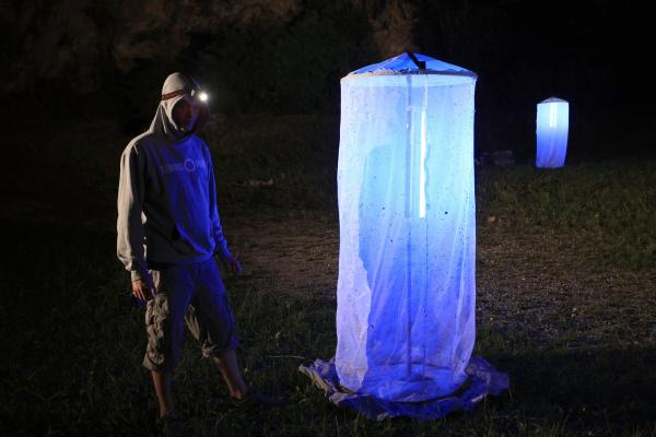 Bild 1 von 15: Schmetterlingsexperte Alexander Weihs (Naturschutzbund Steiermark) zählt Nachtfalter mithilfe von Leuchtzelten im aufgelassenen Grazer Steinbruch Hauenstein.