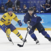 Eishockey Live - Die IIHF WM