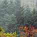 Herbst auf dem Land