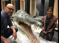 Anna und die wilden Tiere