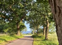 Hanseblick