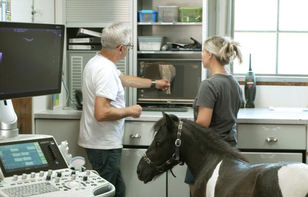 Bild 1 von 5: Dr. Ulrich Walliser (l.) erkla¨rt der Besitzerin von Pony Muffin den Knie-Befund am Ro¨ntgenbild.