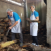 Mein Job - Dein Job