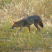 Abenteuer Wildnis