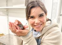 Anna und die wilden Tiere