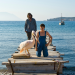 Ein griechischer Sommer
