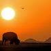 Abenteuer Wildnis