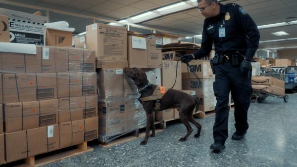 Bild 1 von 3: Der Vierbeiner hat eine heiße Spur: Verbirgt sich Schmuggelware in den Kisten?