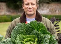 Jamie Oliver: Jahreszeiten