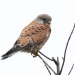 Abenteuer Wildnis