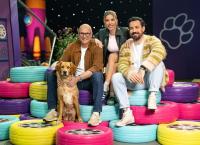 Top Dog Germany - Der beste Hund Deutschlands