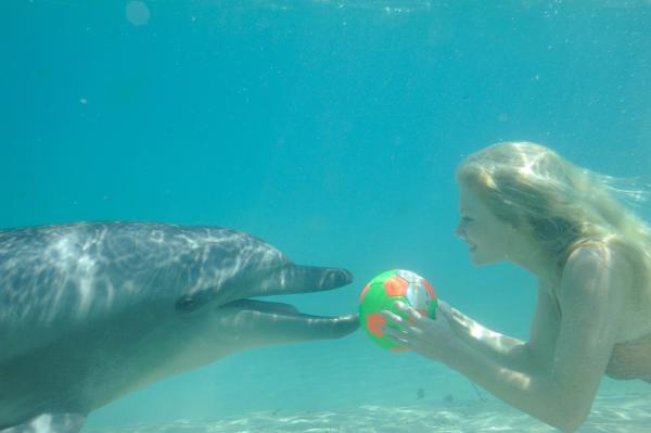 Bild 1 von 5: Rikki (Cariba Heine) tollt mit dem Delfin Ronnie im Meerespark herum.
