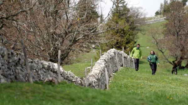 Bild 1 von 10: Im Bild: Projekt zum Erhalt der Trockenmauern (Quentin Kohler, Pro Natura und Caroline Khamissé vom Naturpark).