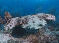 Das Korallendreieck - Ein magischer Kreislauf