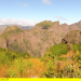 Naturparks in Portugal