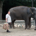 Der Zoowärter