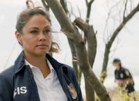 Navy CIS: Hawaii